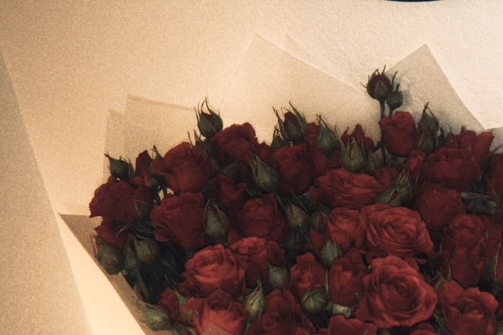 Bouquet Flower collection